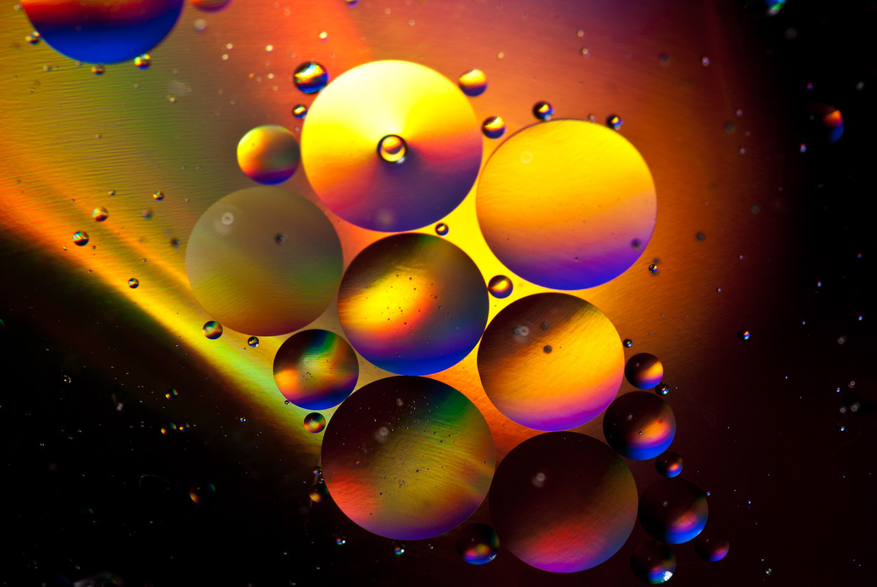 DSC3840-X2.jpg