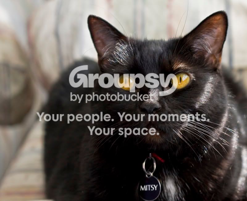 Mitsy2.jpg