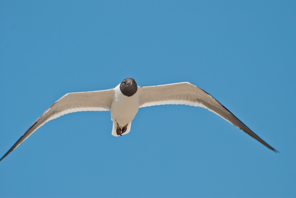 DSC_2021-XL.jpg