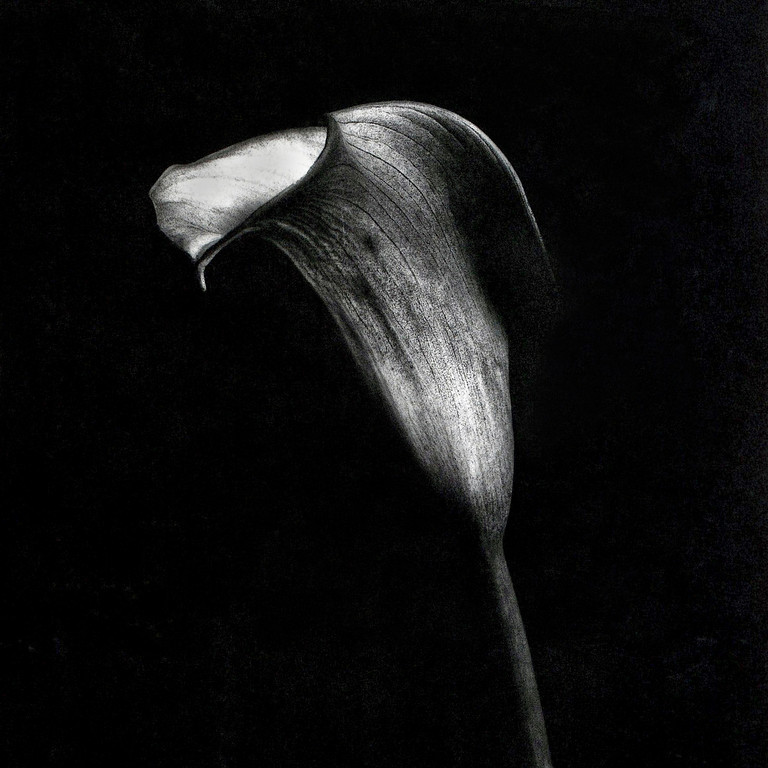Scan054-XL.jpg