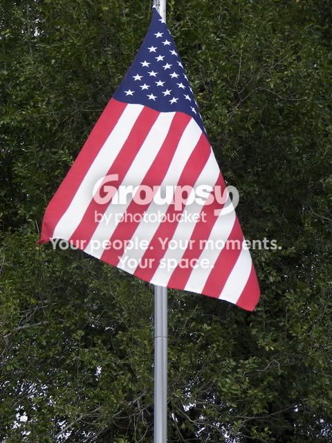 flag2.jpg
