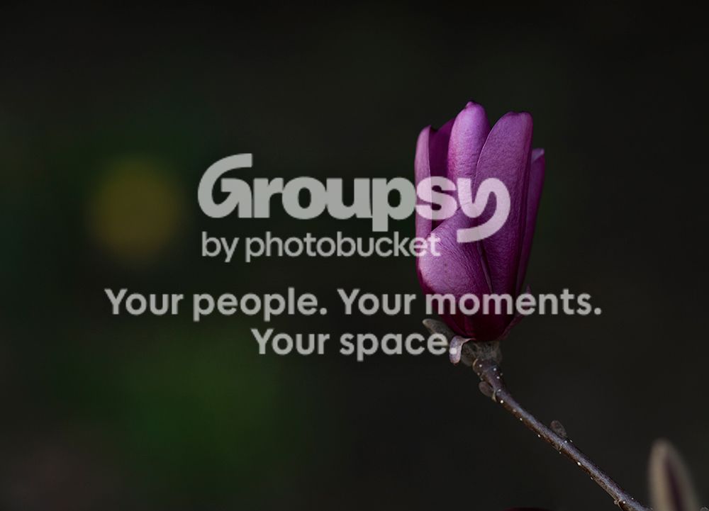 0pplmag2_zps749339b2.jpg
