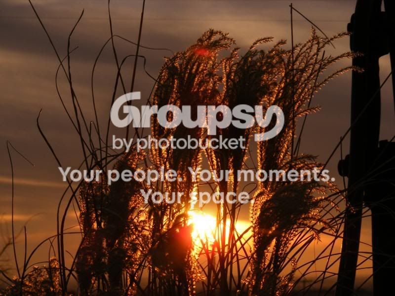 DSCF1951.jpg