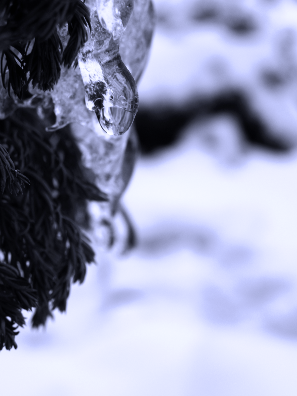 IcyDrop.png