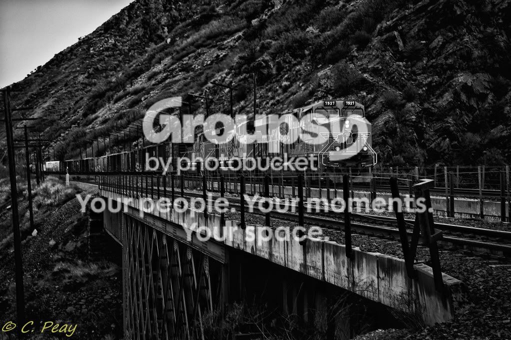 _MG_0063-Edit-Edit-Edit.jpg