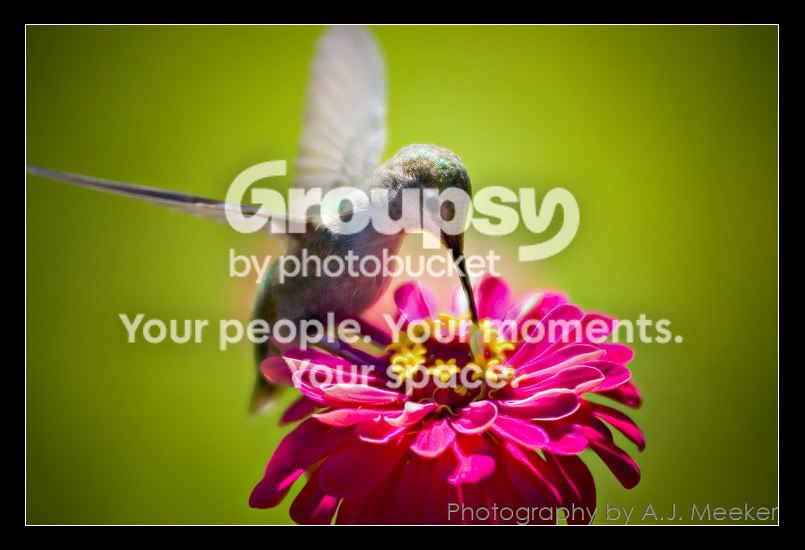 DSC_0117_show.jpg