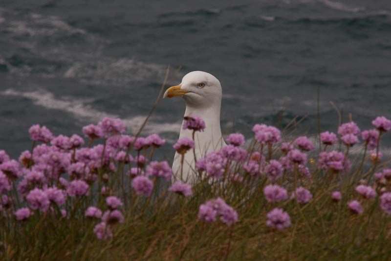20110513-_MG_1927.jpg