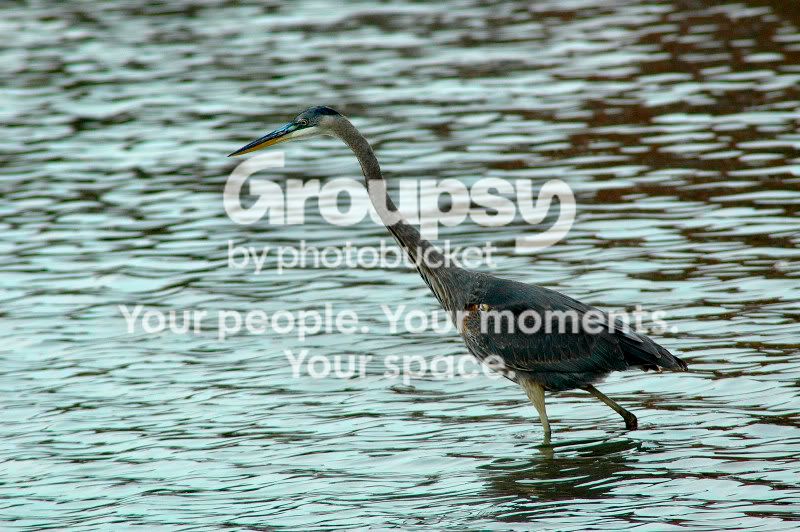 websize005DSC_0079.jpg
