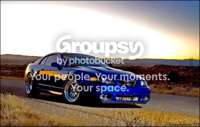 FlashGoofHwyKng_1copy.jpg