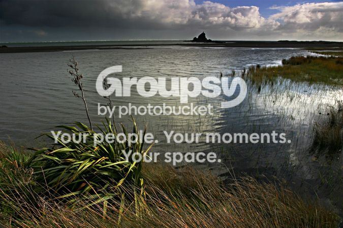 lake-plant.jpg