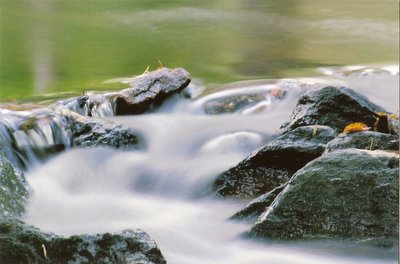 misty%20river.jpg