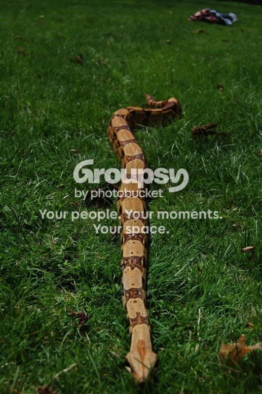 outside5.jpg