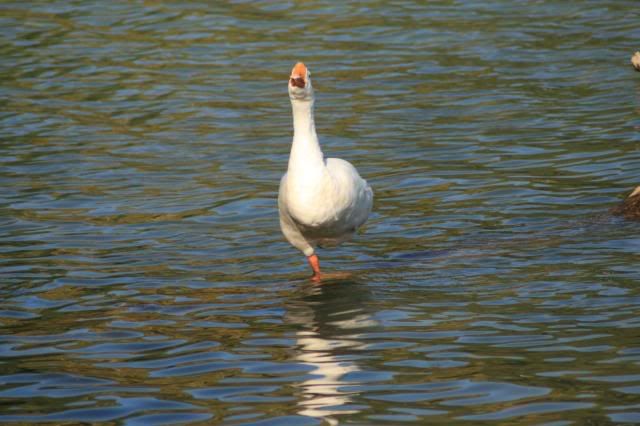 Picture017.jpg