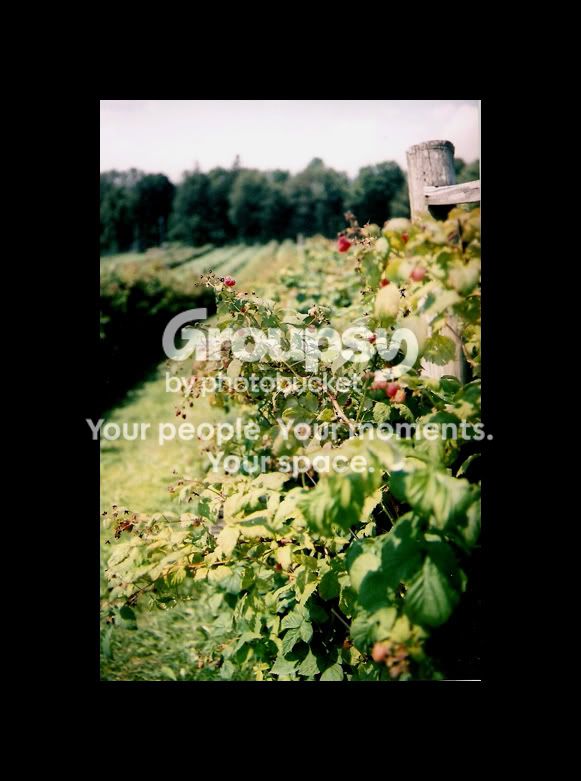 scan0006.jpg