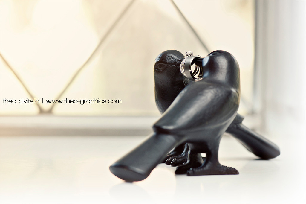 Birds-and-Rings-XL.jpg