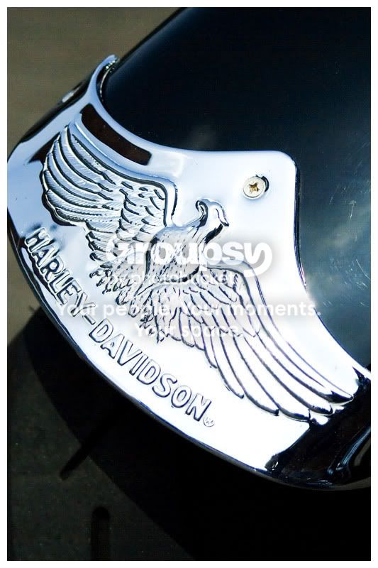 Fender-Badge.jpg