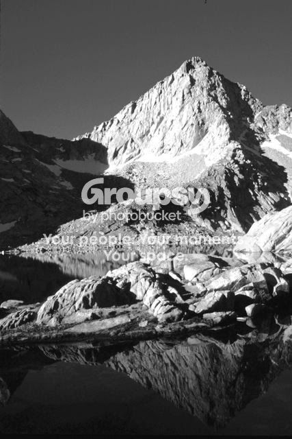 SawtoothColumbineBW.jpg