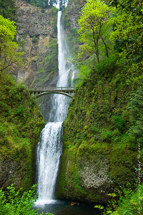 multnomah060506_02.jpg
