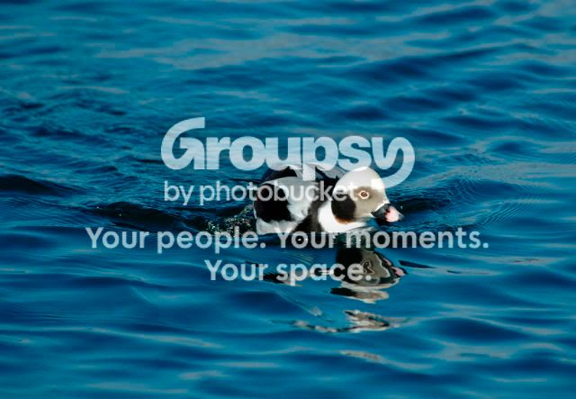 DSC_64100572websize.jpg