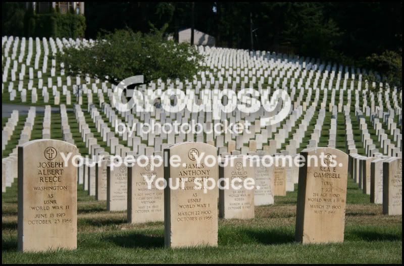 Contest141copy.jpg