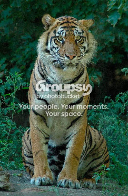 websize001websize001websize009websi.jpg