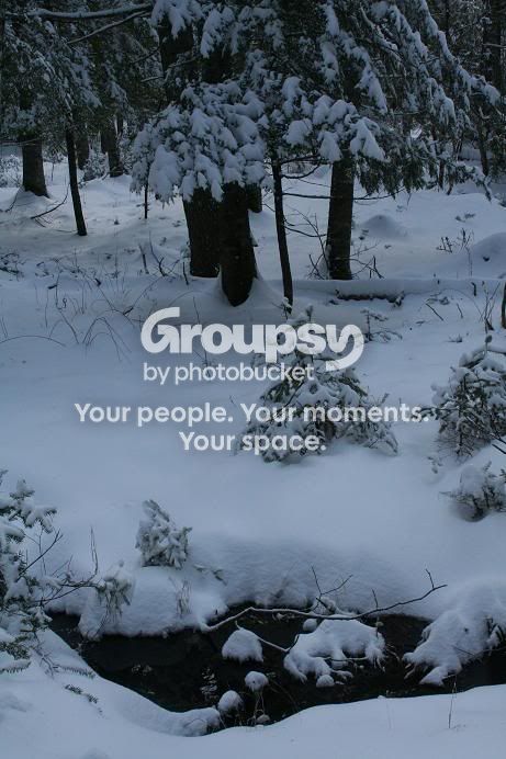 Snow12.jpg