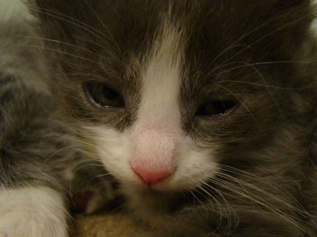 DSC01549.jpg