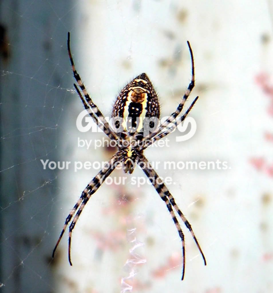 PICT0012a.jpg