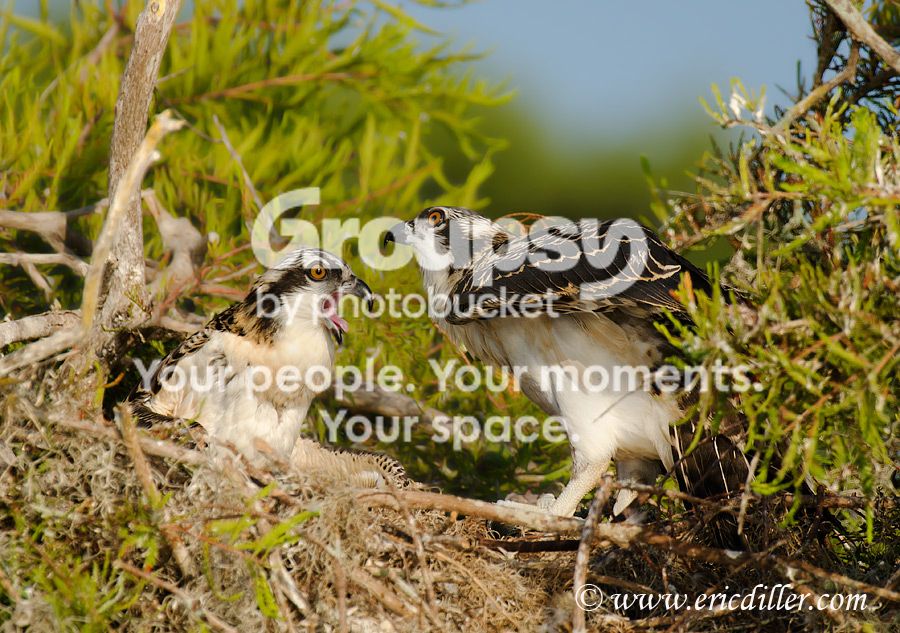 _ECD6940-copy900.jpg