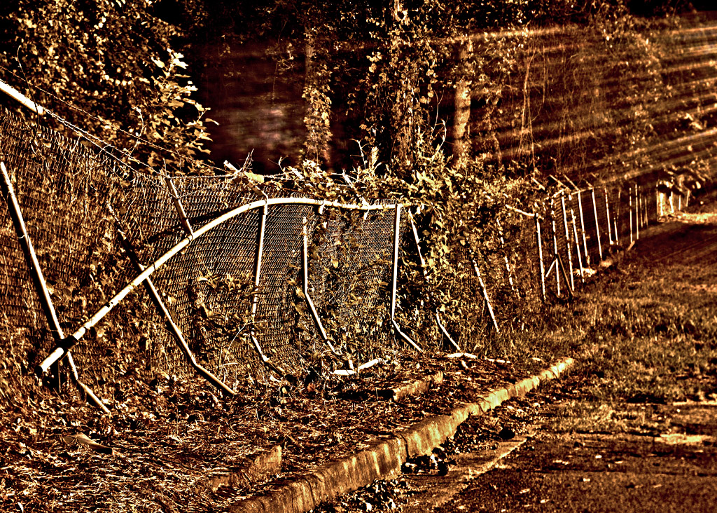 7751037846_3db038a5fe_b.jpg