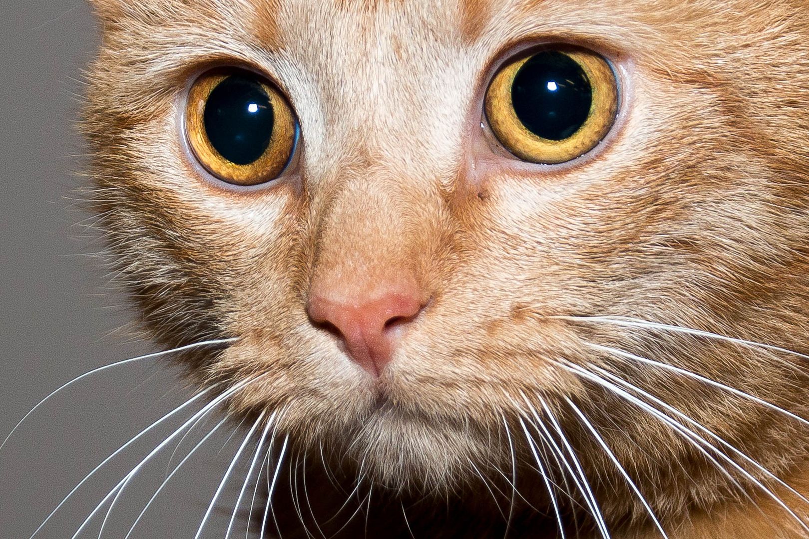 BrightEyes1_zpshphitqxw.jpg