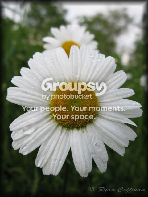 IMG_5373copy.jpg