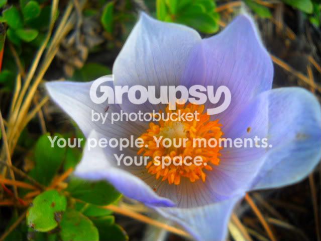 DSCN2382-1.jpg