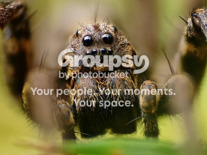 2012-05-05-112430ZSPMax.jpg