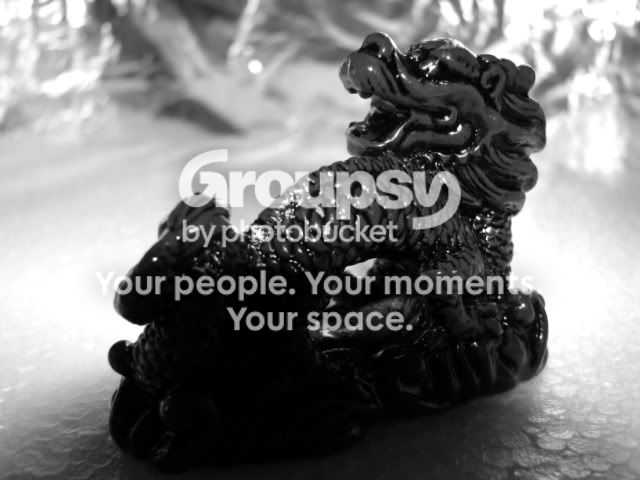 IMG_1075.jpg