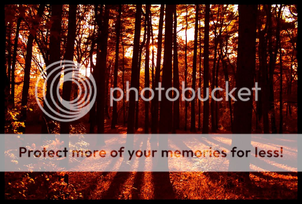 withoutcopyright-1.jpg