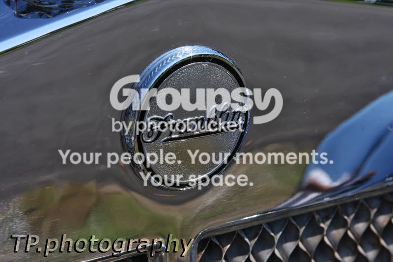 IMG_1231tp.jpg