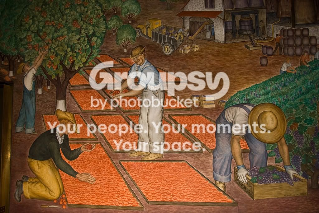 DSC_0991.jpg