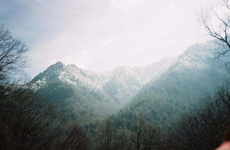 mtn4.jpg