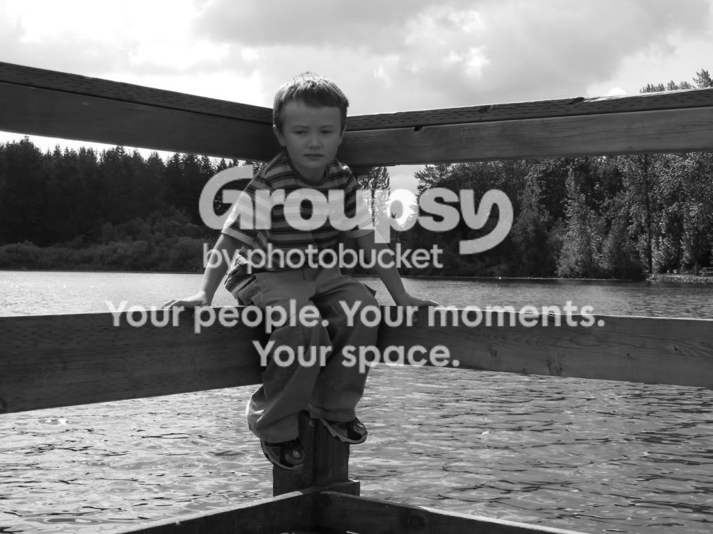 portfolio9.jpg