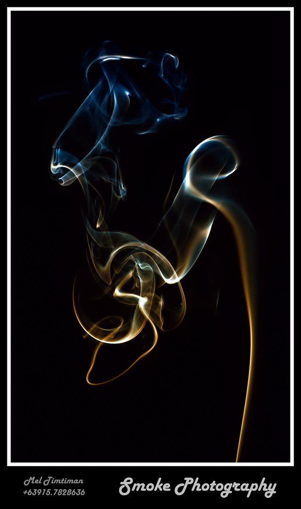 5409320941_7427565349_b.jpg
