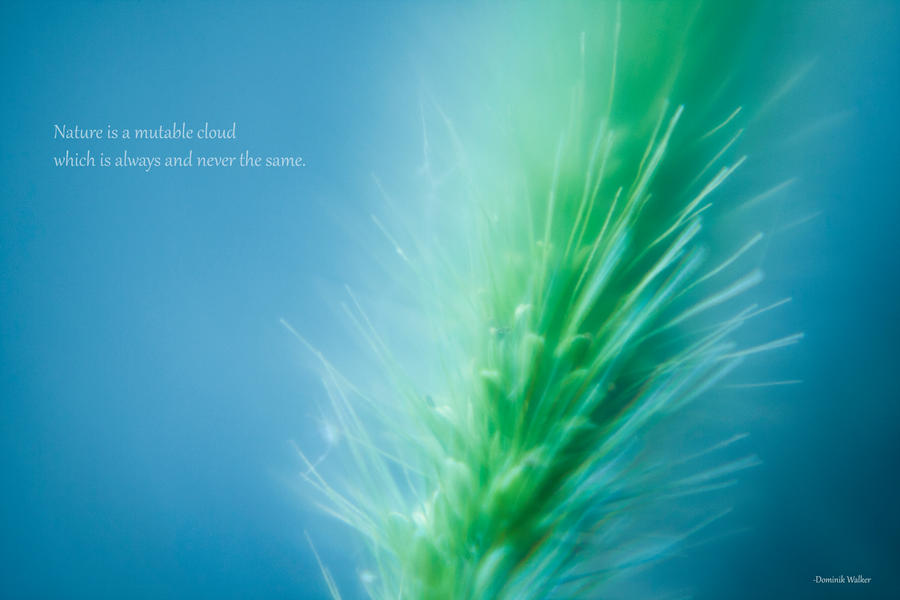 up_close_by_delosphotos-d46x6yp.jpg