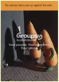 veg2.jpg