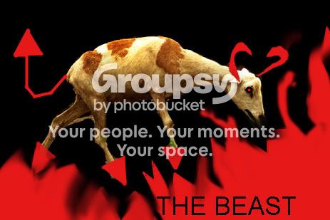 THEBEAST.jpg