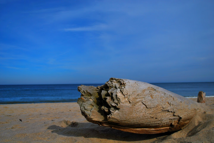 DSC_0077updated1.JPG