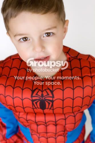 webspiderman2.jpg