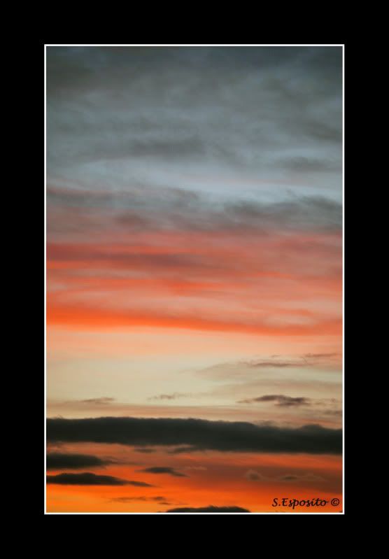 DSC_00013.jpg