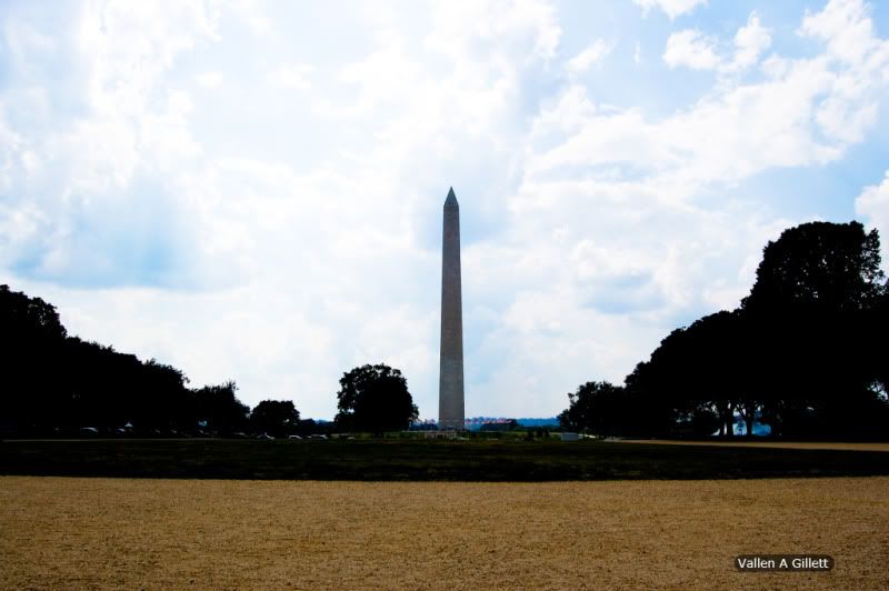 DSC_0262C.jpg