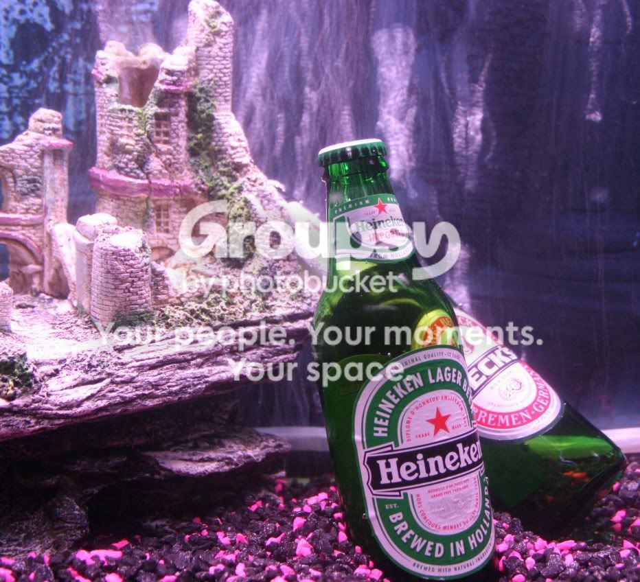 beer036.jpg