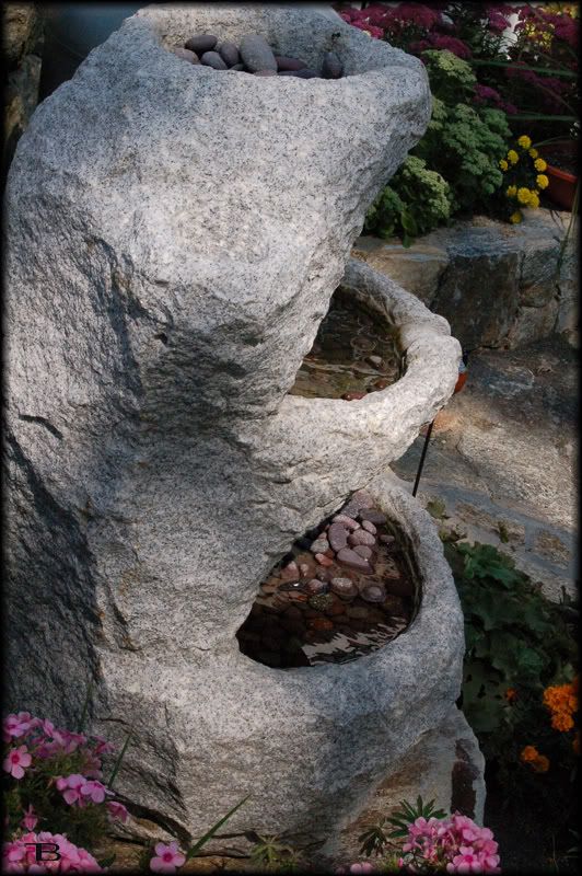 DSC_2390.jpg